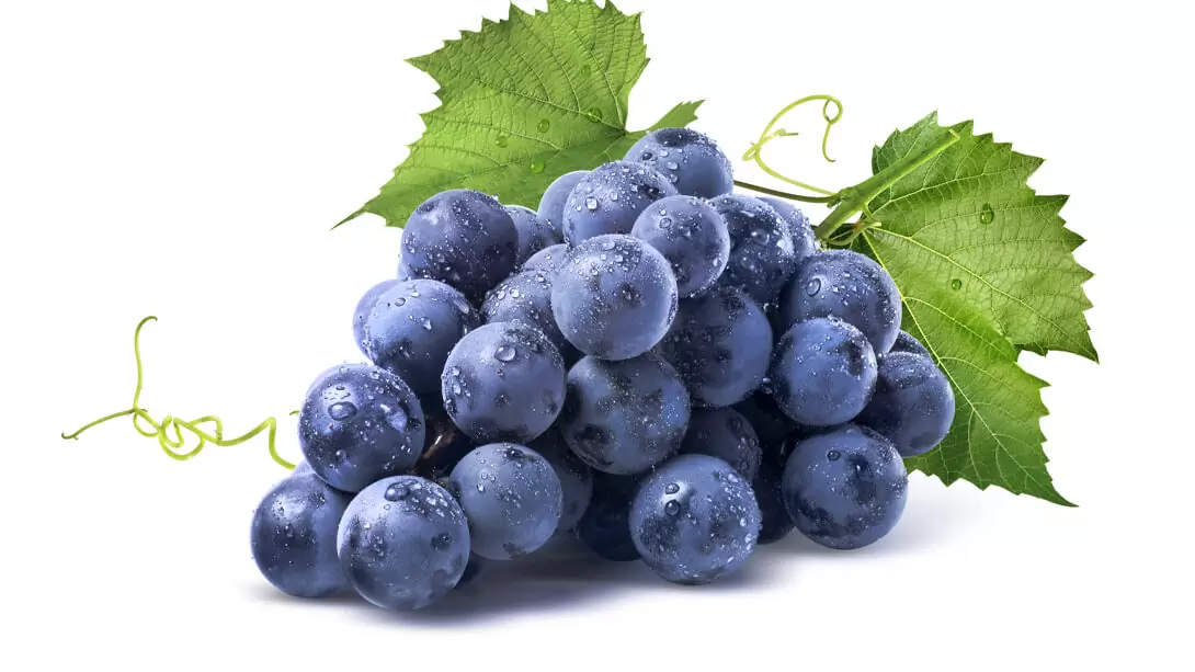 Uvas Propiedades Beneficios Y Valor Nutricional Farmacia Angulo